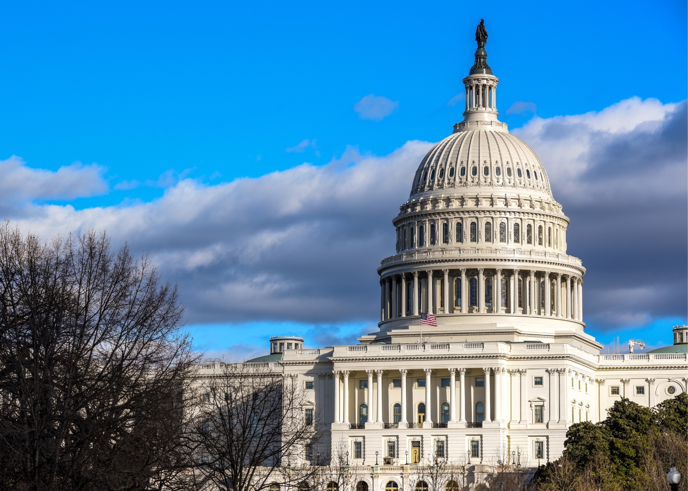 OZ 2.0 Legislation